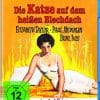 Die Katze auf dem heißen Blechdach