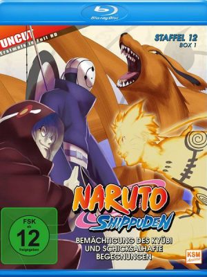Naruto Shippuden - Box 12.1