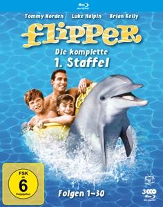 Flipper - Die komplette 1. Staffel  (Fernsehjuwelen)  [3 BRs]