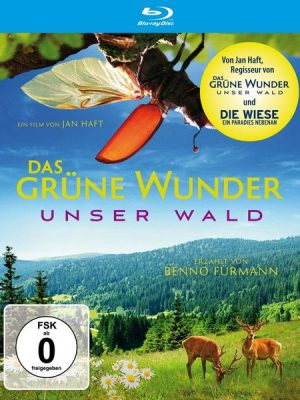 Das grüne Wunder - Unser Wald