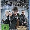 Phantastische Tierwesen: Grindelwalds Verbrechen Blu-Ray