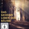 Das geheime Leben der Bäume