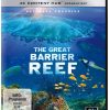 The Great Barrier Reef - Ultimate Freediving  (4K Ultra HD)