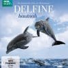 Delfine hautnah