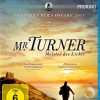 Mr. Turner - Meister des Lichts