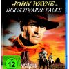 Der schwarze Falke