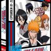 Bleach TV-Serie - Blu-ray-Box 1 (Episoden 1-20) (3 Blu-rays)