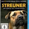 Streuner - Unterwegs mit Hundeaugen