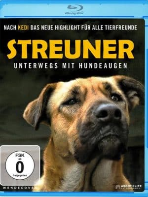 Streuner - Unterwegs mit Hundeaugen