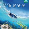 Das Great Barrier Reef - Naturwunder der Superlative