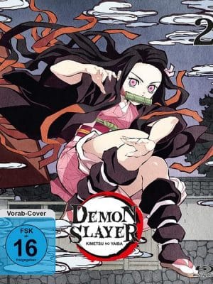 Demon Slayer - Staffel 1 - Vol.2