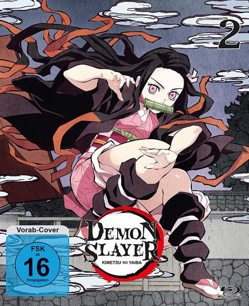 Demon Slayer - Staffel 1 - Vol.2