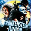Frankenstein Junior