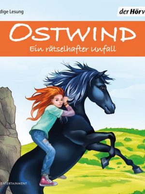 Ostwind - Ein rätselhafter Unfall