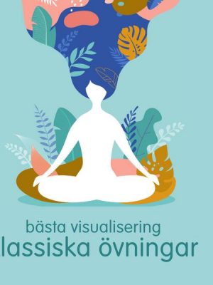 De bästa visualiseringsklassikerna