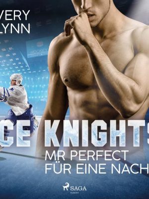 Ice Knights - Mr Perfect für eine Nacht