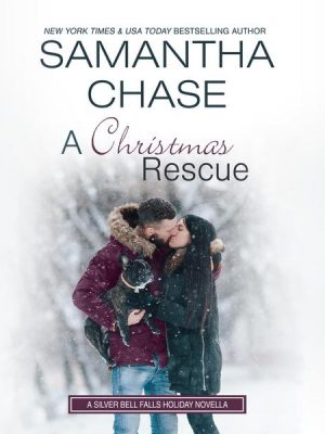 A Christmas Rescue