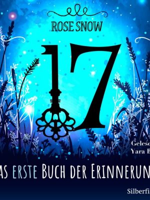 17 1: Das erste Buch der Erinnerung