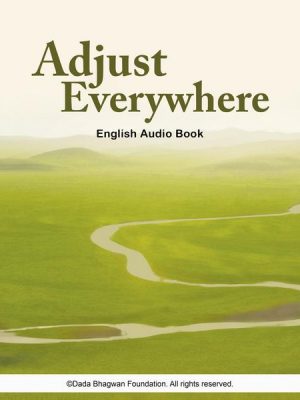 Adjust Everywhere - English Audio Book