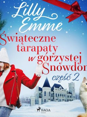 Świąteczne tarapaty w górzystej Snowdonii - część 2