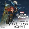 Black Widow - Begynnelsen - Berättelsen om två Black Widows