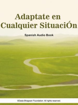 Adaptate en Cualquier SituaciÓn - Spanish Audio Book