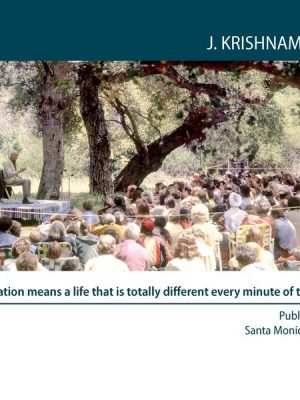 Meditation means a life that is totally different every minute of the day