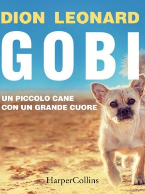 Gobi. Un piccolo cane con un grande cuore