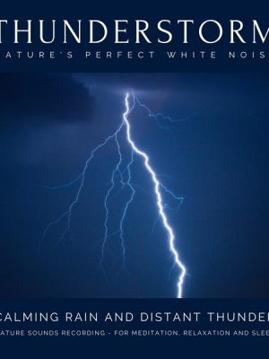 Calming Rain and Distant Thunder - Thunderstorm Nature Sounds Recording - for Meditation