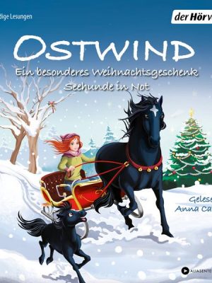 Ostwind. Ein besonderes Weihnachtsgeschenk & Seehunde in Not