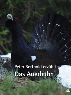 Das Auerhuhn