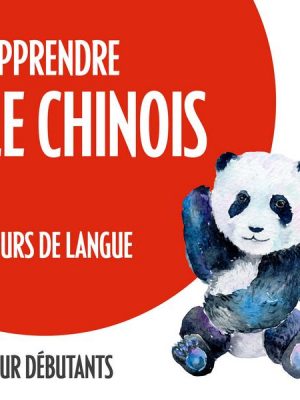 Apprendre le chinois (cours de langue pour débutants)