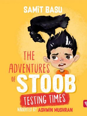 The Adventures of Stoob: Testing Times