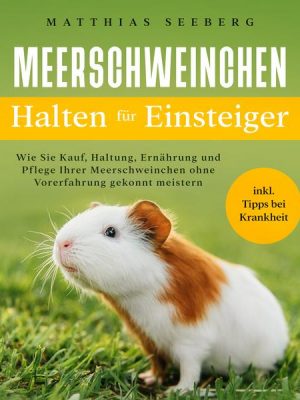 Meerschweinchen halten für Einsteiger: Wie Sie Kauf