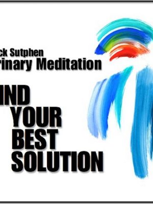 Find Your Best Solution: Trinary Meditation