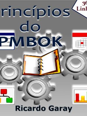 Princípios do PMBOK