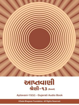 Aptavani-13 (U) - Gujarati Audio Book