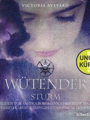 Wütender Sturm