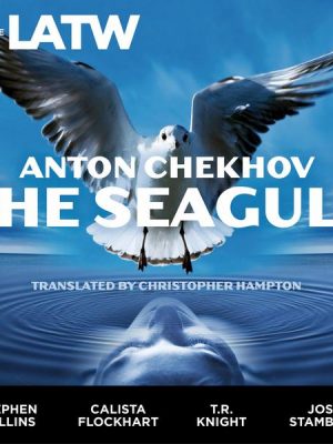 The Seagull