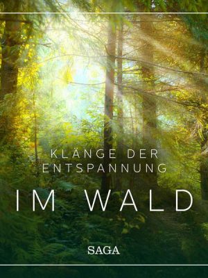 Klänge der Entspannung - Im Wald