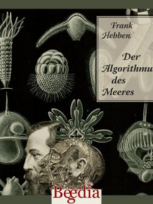 Der Algorithmus des Meeres