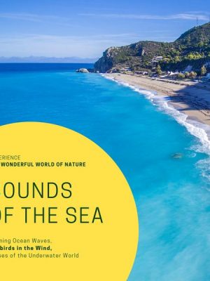 Sounds Of The Sea: Calming Ocean Waves