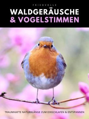 Friedvolle Waldgeräusche & Vogelstimmen