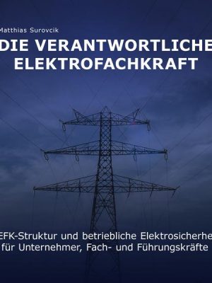 Die Verantwortliche Elektrofachkraft