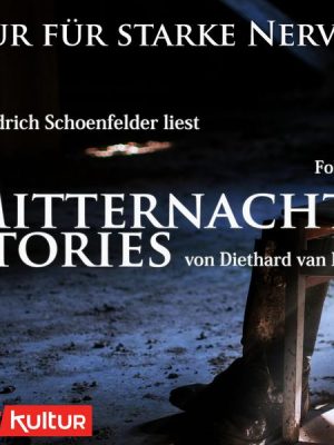 Mitternachtsstories von Diethard van Heese