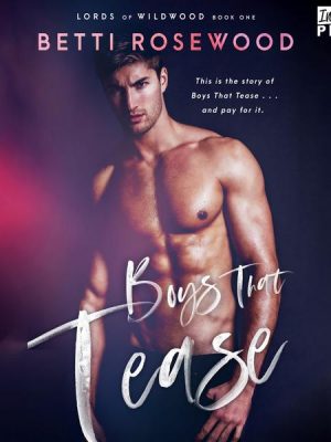 Boys That Tease - A Bully Romance