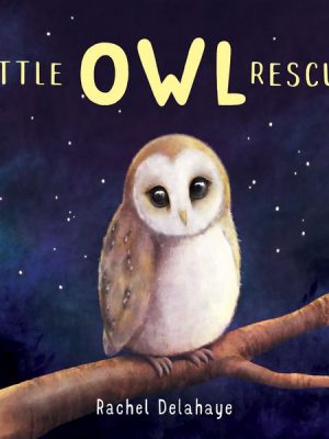 Little Owl Rescue