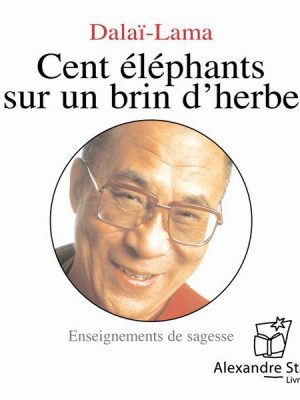 Cent éléphants sur un brin d'herbe