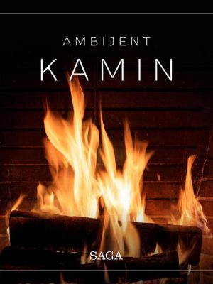 Ambijent – Kamin