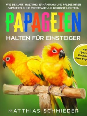 Papageien halten für Einsteiger: Wie Sie Kauf